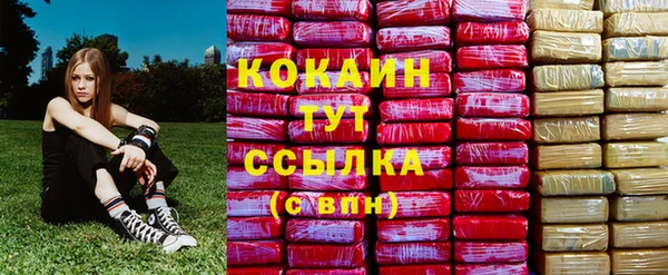прущие крисы Алзамай