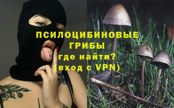 прущие крисы Алзамай